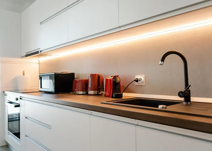 B&v 55 Qualis - Luxury Mountain Escape Lejlighed Braşov